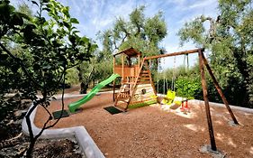 Terra Di Ulivo