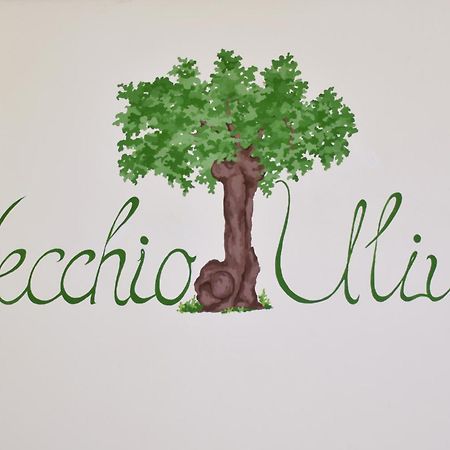 Villa Terra Di Ulivo Vieste Esterno foto