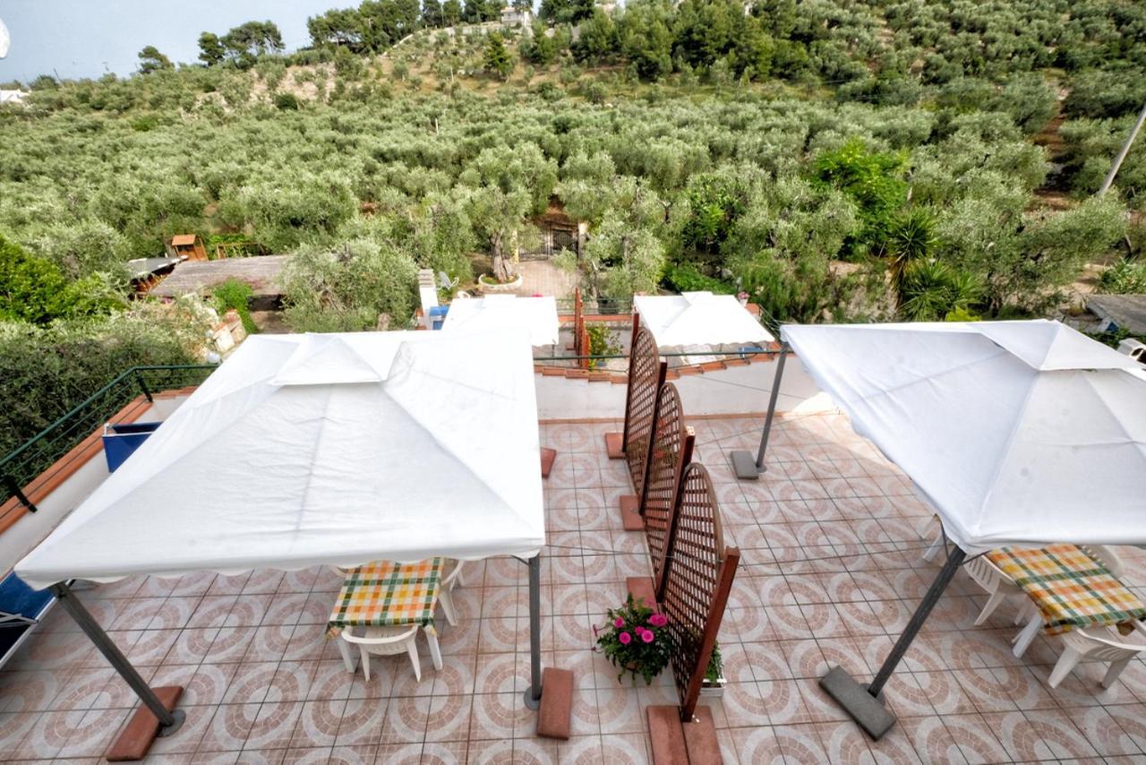 Villa Terra Di Ulivo Vieste Esterno foto