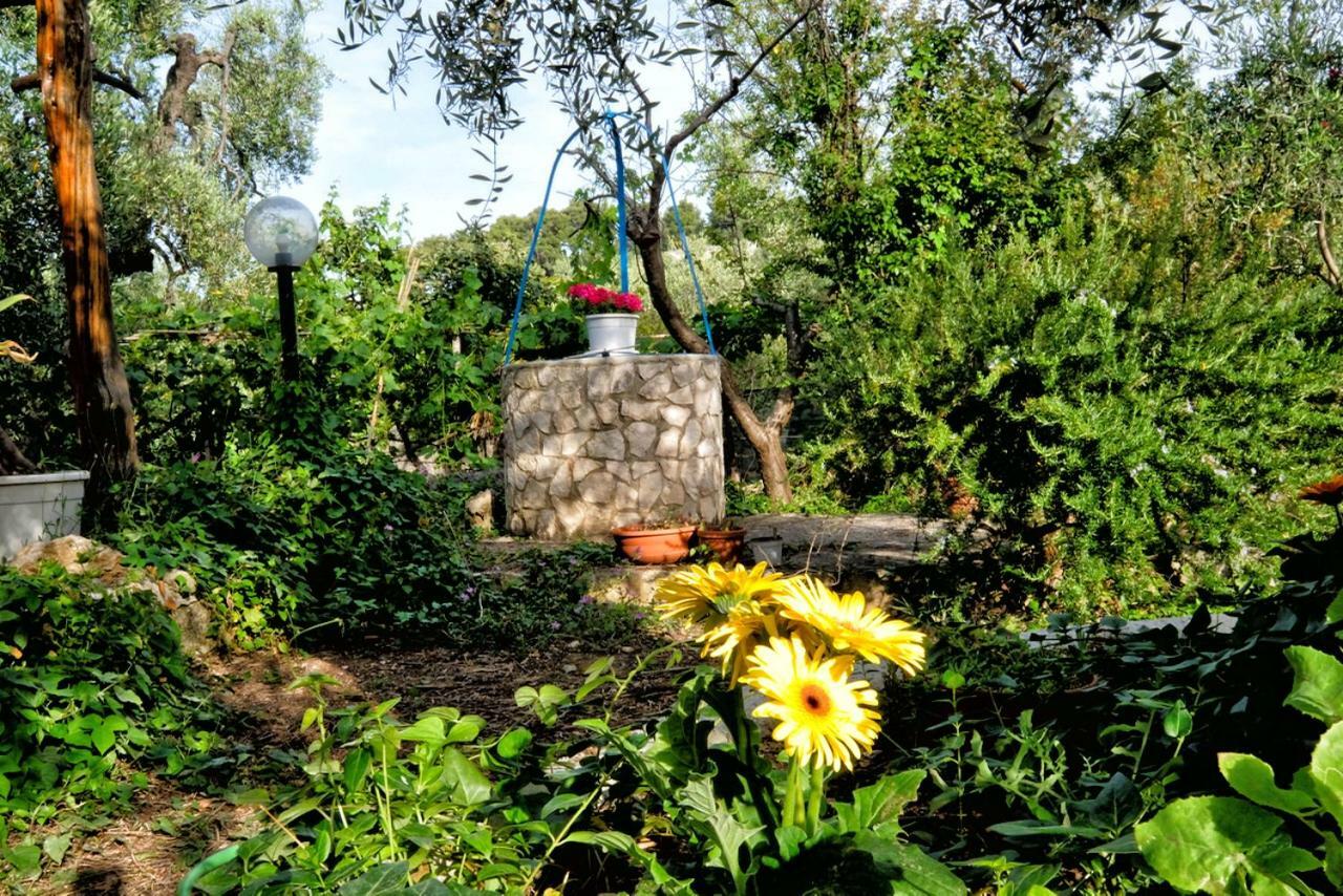 Villa Terra Di Ulivo Vieste Esterno foto