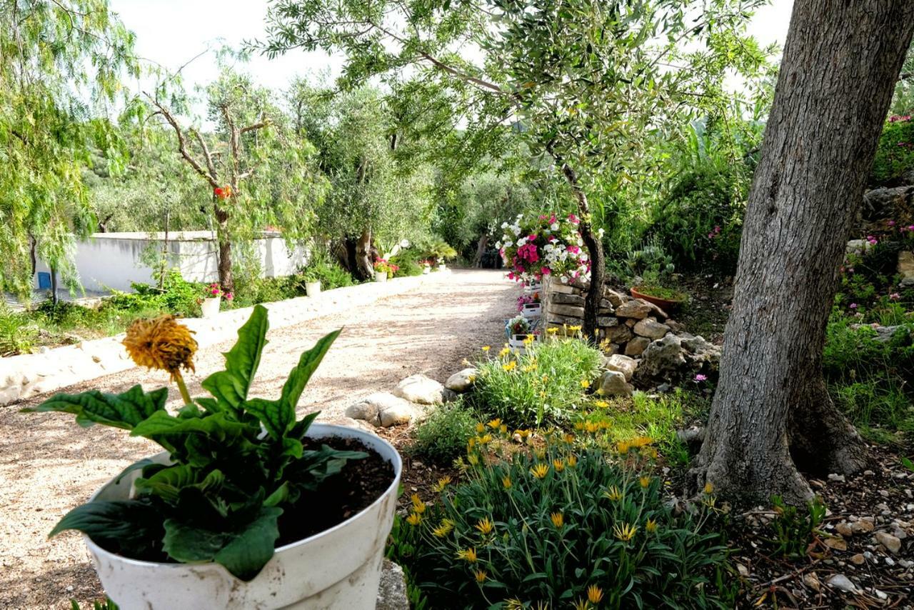 Villa Terra Di Ulivo Vieste Esterno foto
