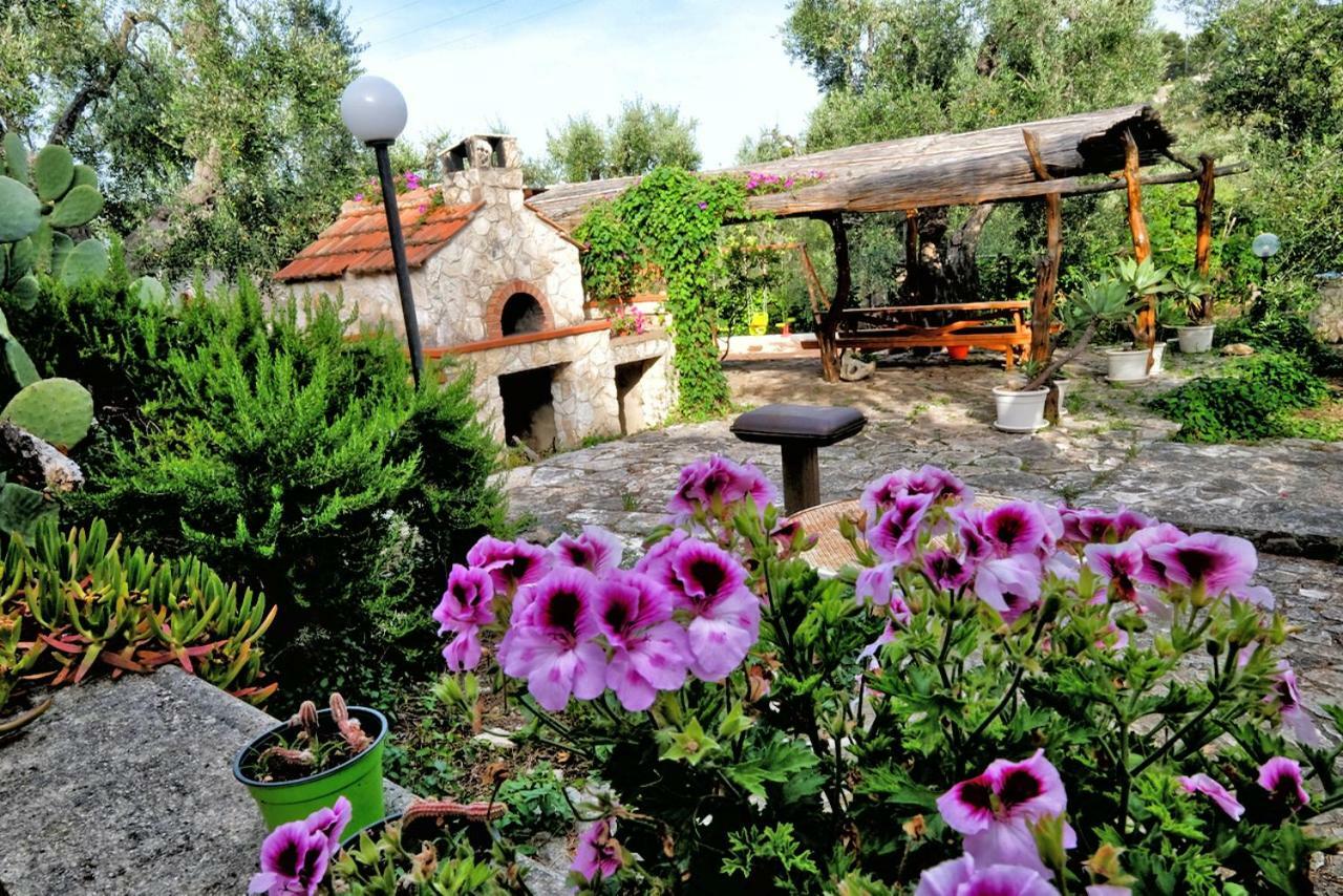 Villa Terra Di Ulivo Vieste Esterno foto