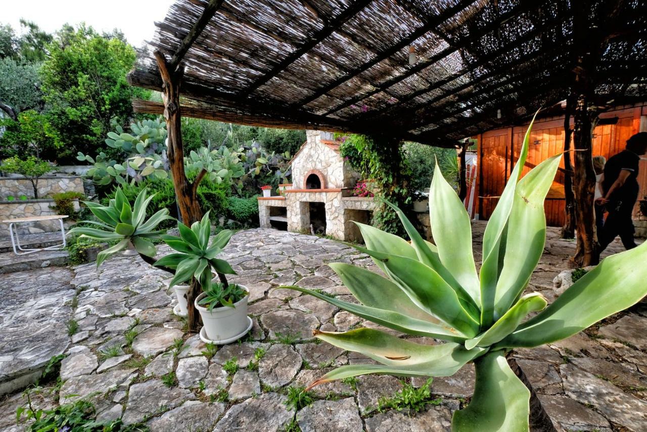 Villa Terra Di Ulivo Vieste Esterno foto
